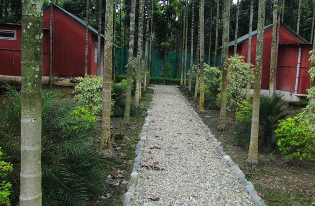 Resort Jayanti Hills Jungle Camp Rajabhat Khawa Exterior photo